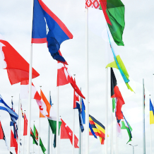 International Projects