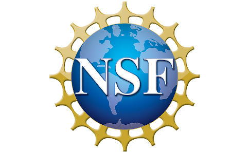 NSF Carbon